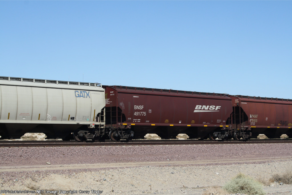 BNSF 491775